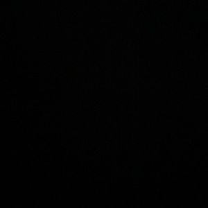 Meet your Posher, Jayden